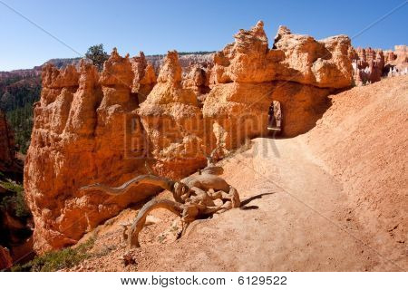 Bryce Canyon Nationalpark