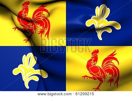 Flag Of French Community Commission