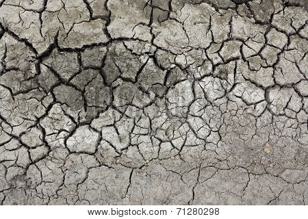Dried Ground