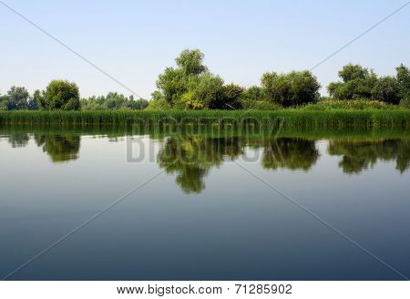 Morning On River, Summer Nature