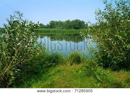 Morning On River, Summer Nature