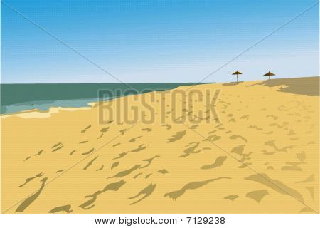 ein Meer ist ein Strand und zwei Pilze