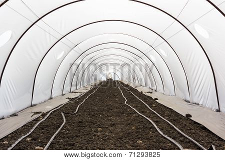Greenhouse Cultivation