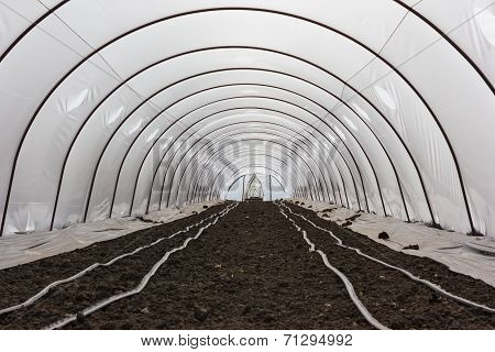 Greenhouse Cultivation