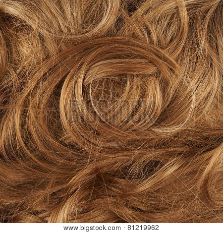 Hair fragment as a background composition