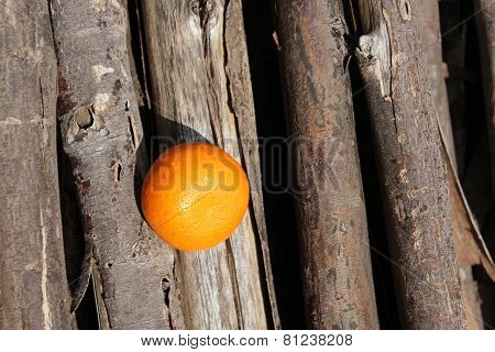 Natural orange in men hand with white background