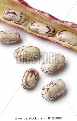 ถั่ว Borlotti