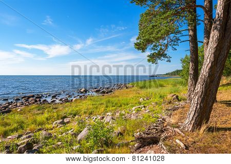 Coastline Of Baltic Sea. Estonia