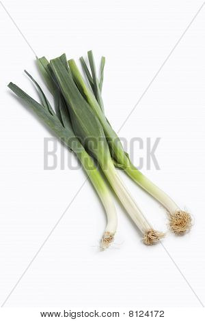 3 つの全茎ネギの