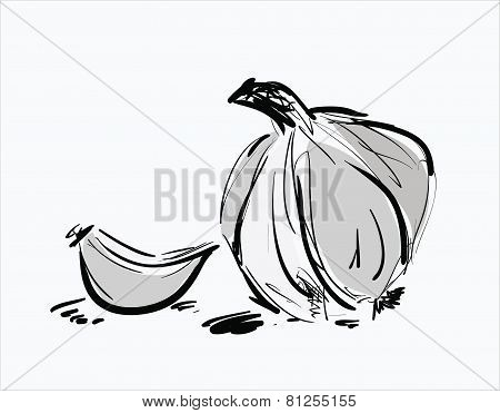 Hand drawn illustrations with garlic