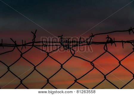 Steel Mesh Barbed Wire Fence Sunset