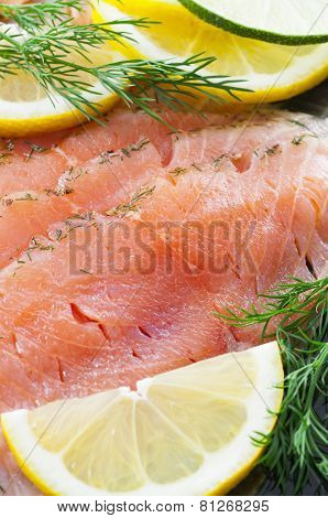 Salmon