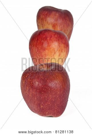 Apple Fruit