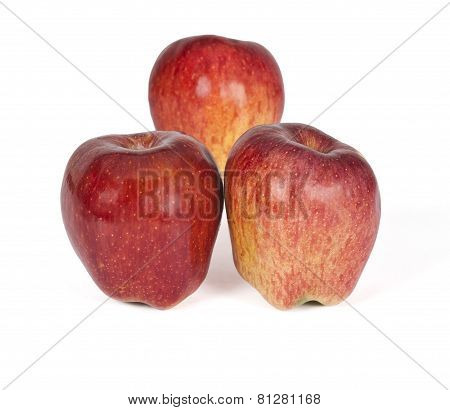Apple Fruit
