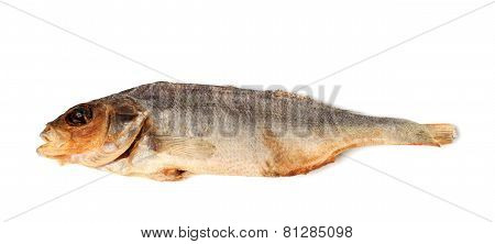 Sun-dried Stockfish Isolated On White Background