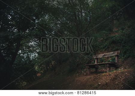 Old Bench Is In A Dark Forest