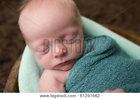 Sleeping Newborn In A Bowl