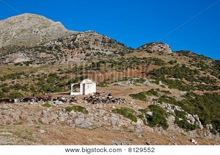kleine Kapelle in der Nähe stymfalia