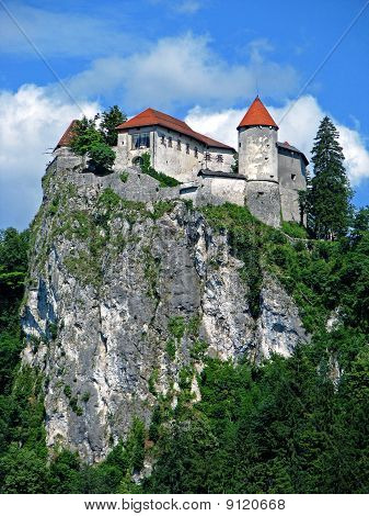 Bled kasteel close-up
