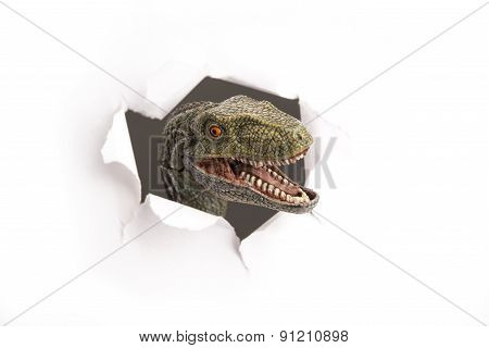 Dinosaur