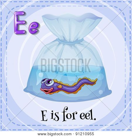 Flashcard letter E is for eel