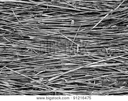 Straw