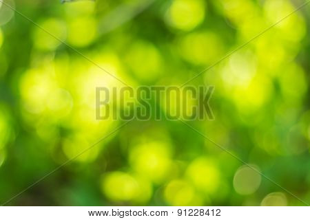 Bokeh