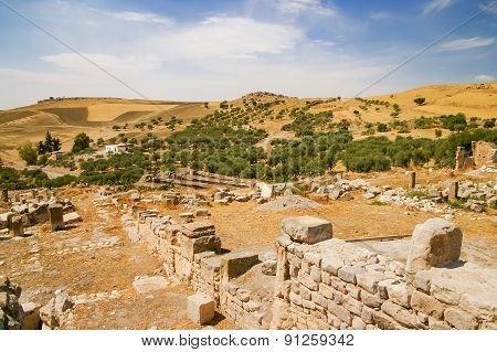 Olive Groves Around Ancient Ruins Of Roman City Of Dougga, Tunisia.