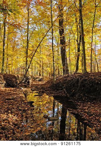 Lake Accotink Park