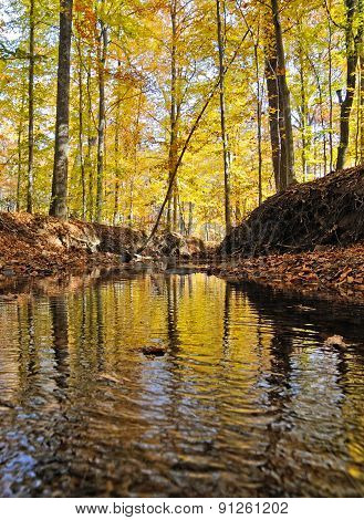 Lake Accotink Park