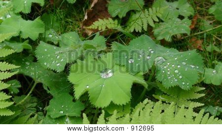 Dsc00151