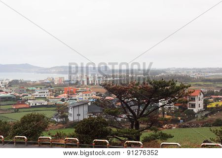 Winter Landscapes In Jeju Island