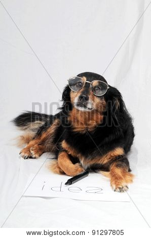 Drawing Dog
