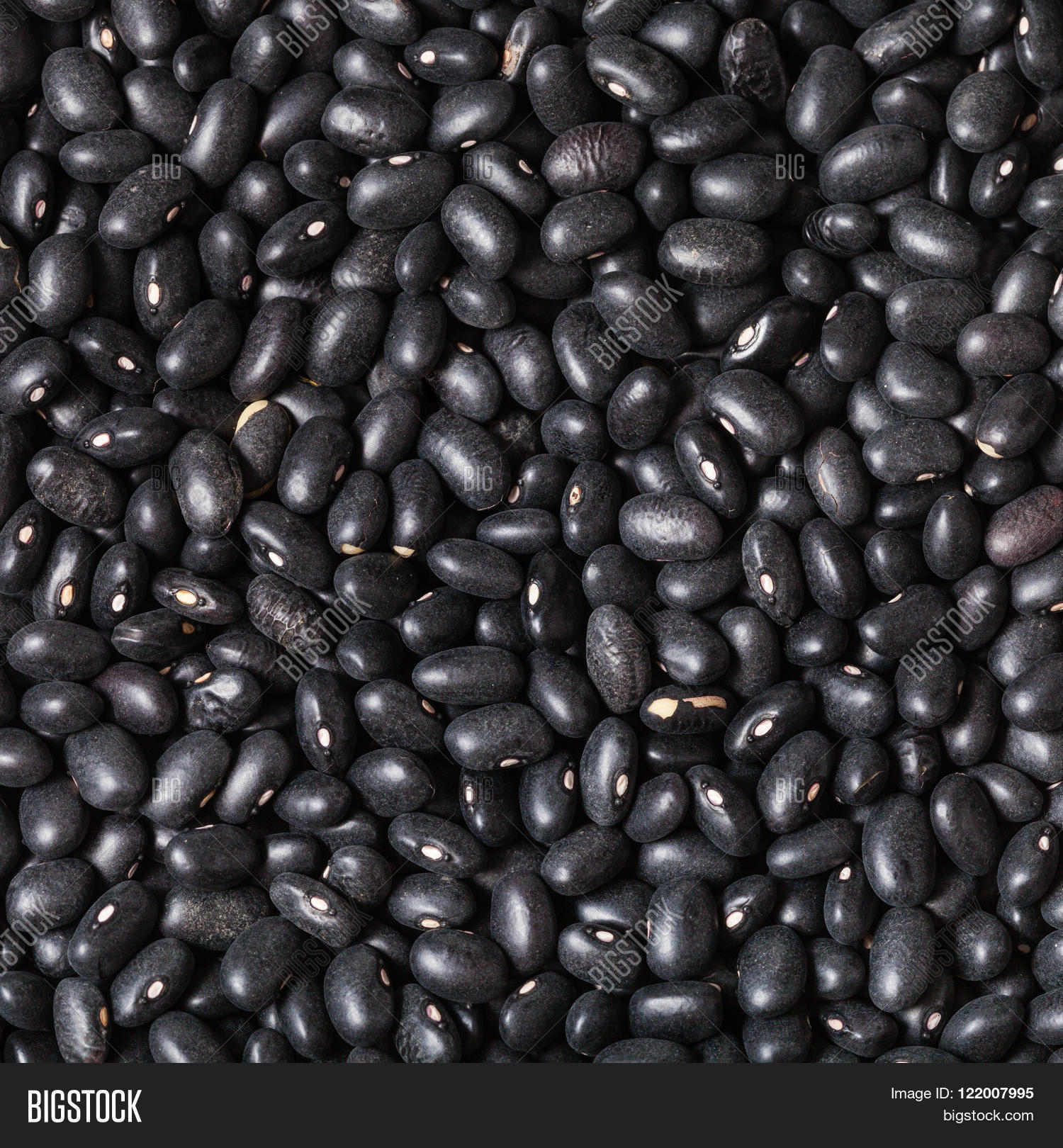 Many Raw Black Beans Image & Photo (Free Trial) Bigstock
