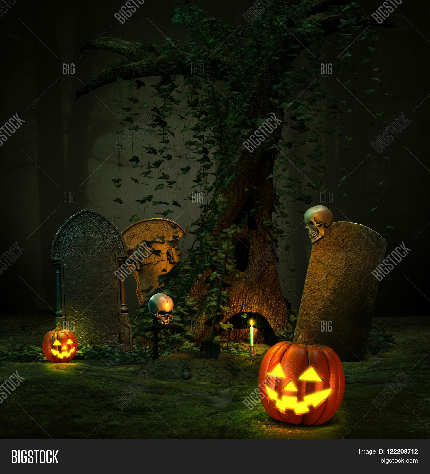 Image Preview