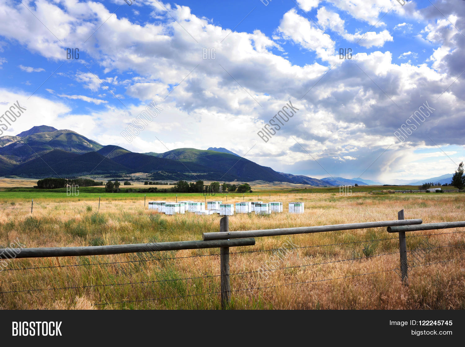 Image Preview