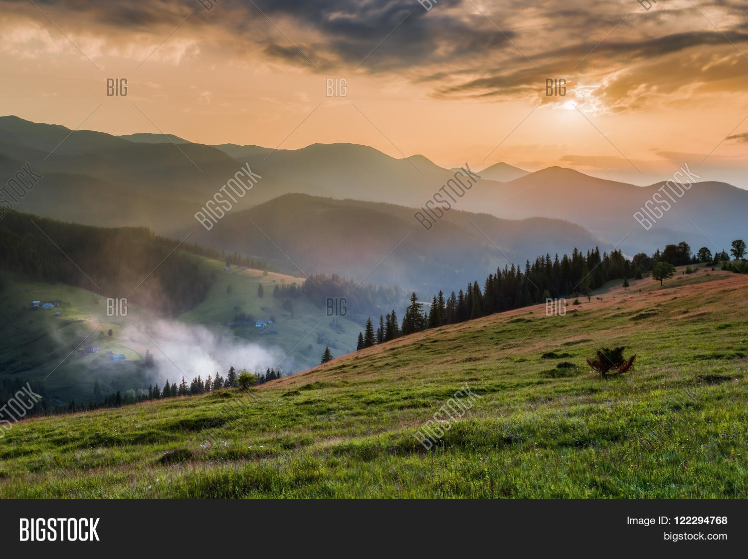 Image Preview