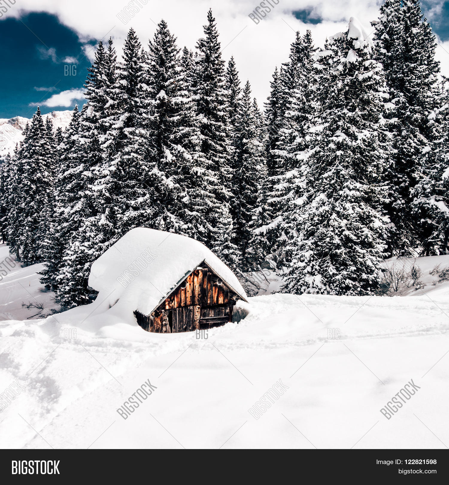 Image Preview