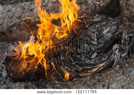 Burning Office White Paper In Bonfire