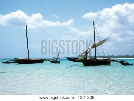 Catamaranes de madera