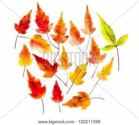drawing of dried fall leaves of plants  and branches isolated elements on white watercolor paper background for scrapbook, painted wooden planks, object, roughage autumn leaf.