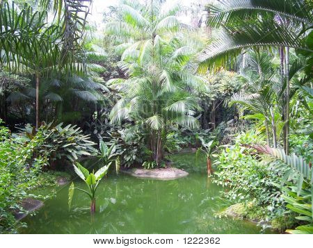 Gdns โบตานิคสิงคโปร์