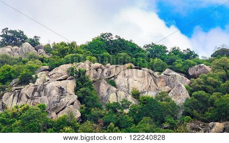 Close-up of rocks with huge boulders and thickets of green trees and thick foliage. Rocks with boulders and bushes.
