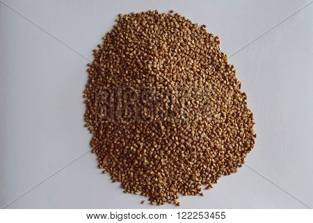 dry small grains of buckwheat on a white background