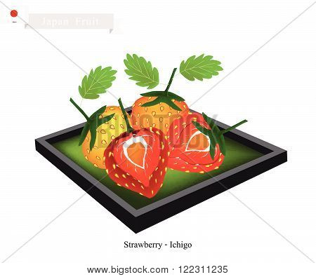 Japan Fruit Ripe and Sweet Ichigo or Strawberry. One of The Most Popular Fruits of Japan.