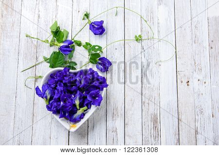Butterfly Pea Flower In Heart Shape Bow