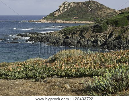 the coastline of the Island of corsica