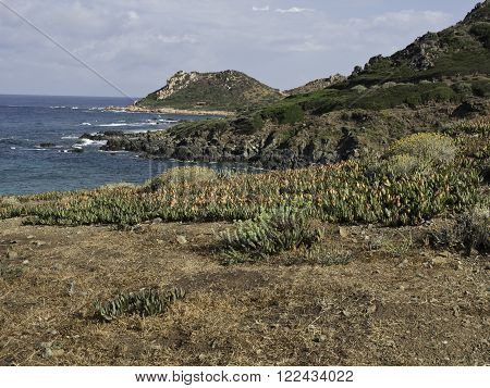 the coastline of the Island of corsica