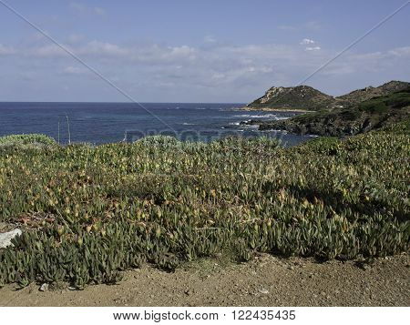 the coastline of the Island of corsica