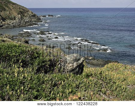 the coastline of the Island of corsica